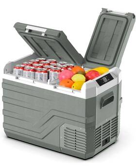 Alpicool Sz-nl30-gn-thdus Chest Coolers 33 Quart Portable Car Refrigerator 12 Volt