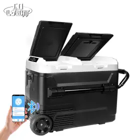 Ep50 Colight Dual Zone 12v Car Refrigerator 53 Quart Portable Compressor Fridge Freezer -4 68