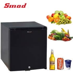 Smad 2020040201 Mini Rv Refrigerator 12v/110v 2 Way Fridge 1.1 Cu Ft Portable No Noise