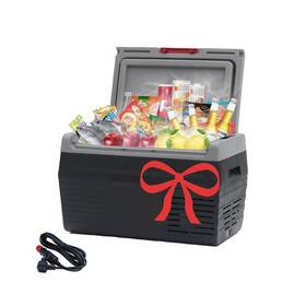 Techomey Hsp-50ay1 Mk 20l Portable Refrigerator/freezer Dc 12v/24v Car Fridge With Compressor Ele